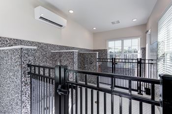 Dog wash & grooming stations